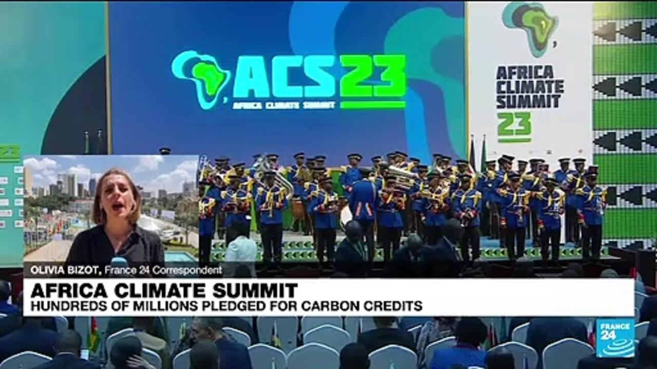 Africa climate summit: Hundreds of millions pledged for carbon credits