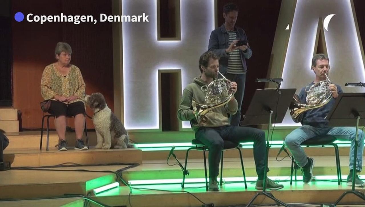 Barking dogs star in a Leopold Mozart symphony in Denmark