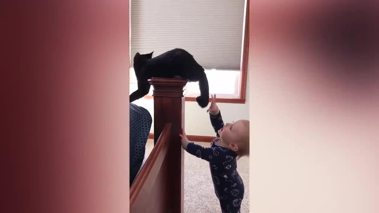 Baby And Cat Fun And Cute - Funny Baby Videos