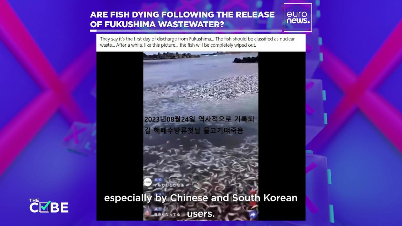 Are thousands of dead fish washing up in Japan after the release of wastewater from Fukushima?