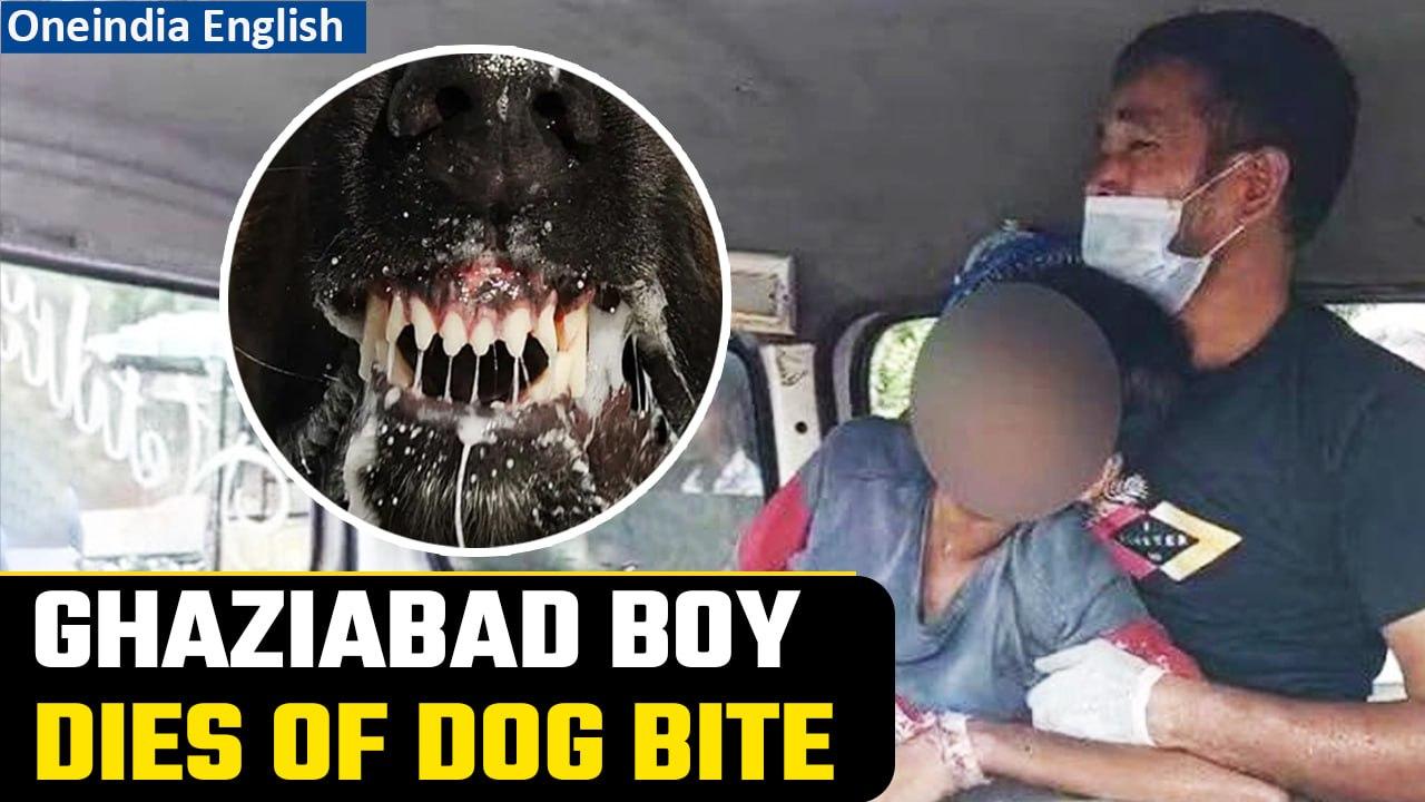 Tragic! 14-Year-Old Boy Succumbs to Rabies Following Dog Bite in Ghaziabad | OneIndia News