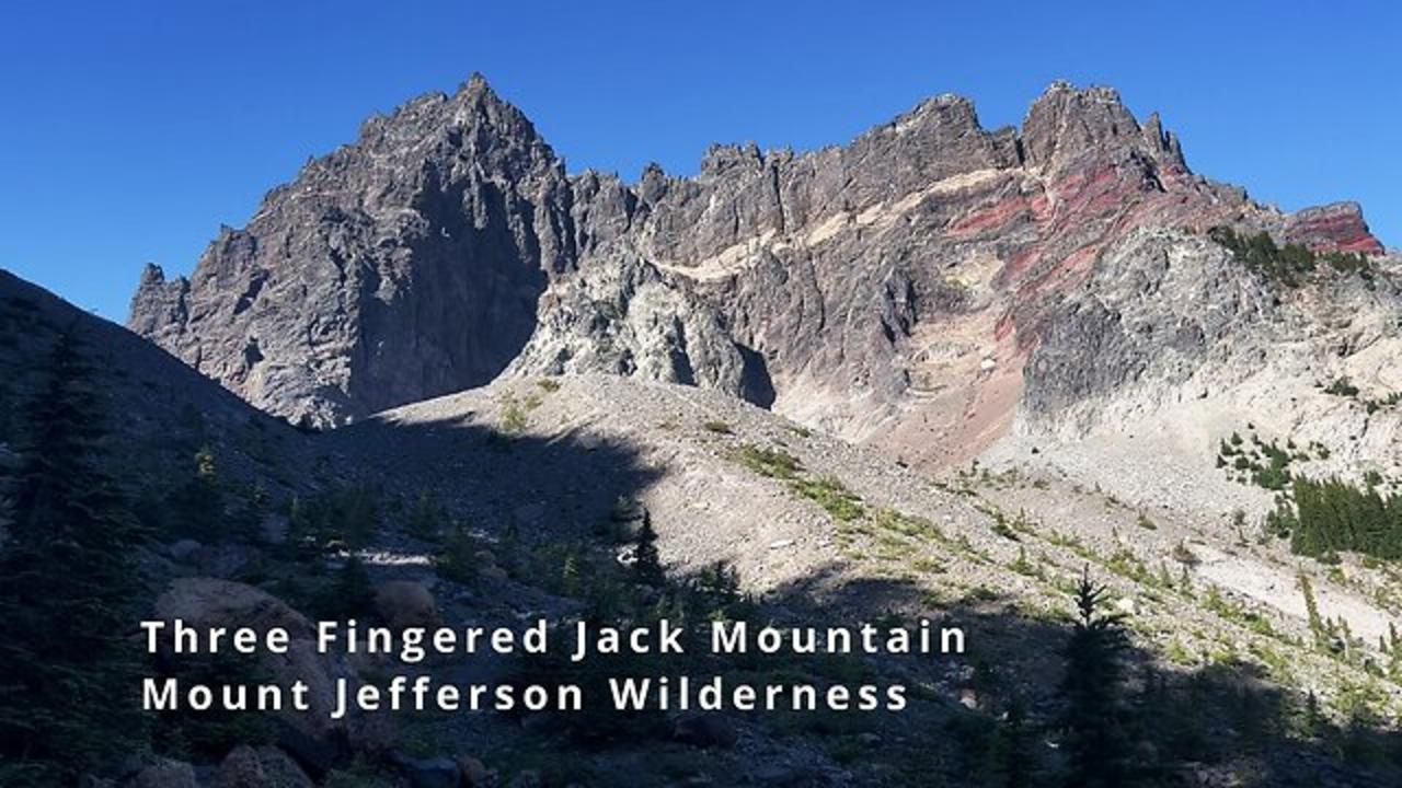 BITE SIZED WILDS | INCREDIBLE VIEWS OF THE TRULY SPECTACULAR THREE FINGERED JACK! | 4K | Oregon