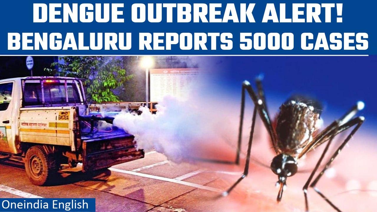 Bengaluru reports first dengue deaths in 3 years; BBMP officials conduct surveillance |Oneindia News