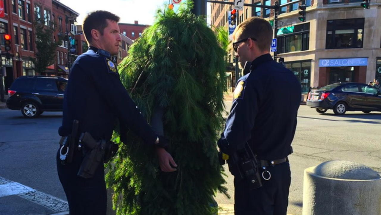 Guy Dressed Like Tree Gets Arrested In Maine