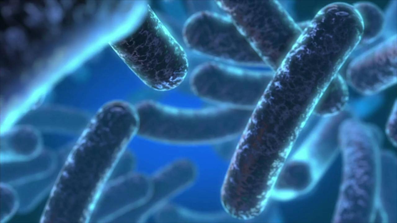 Scientists Bioengineer E. Coli Bacteria to Generate Electricity