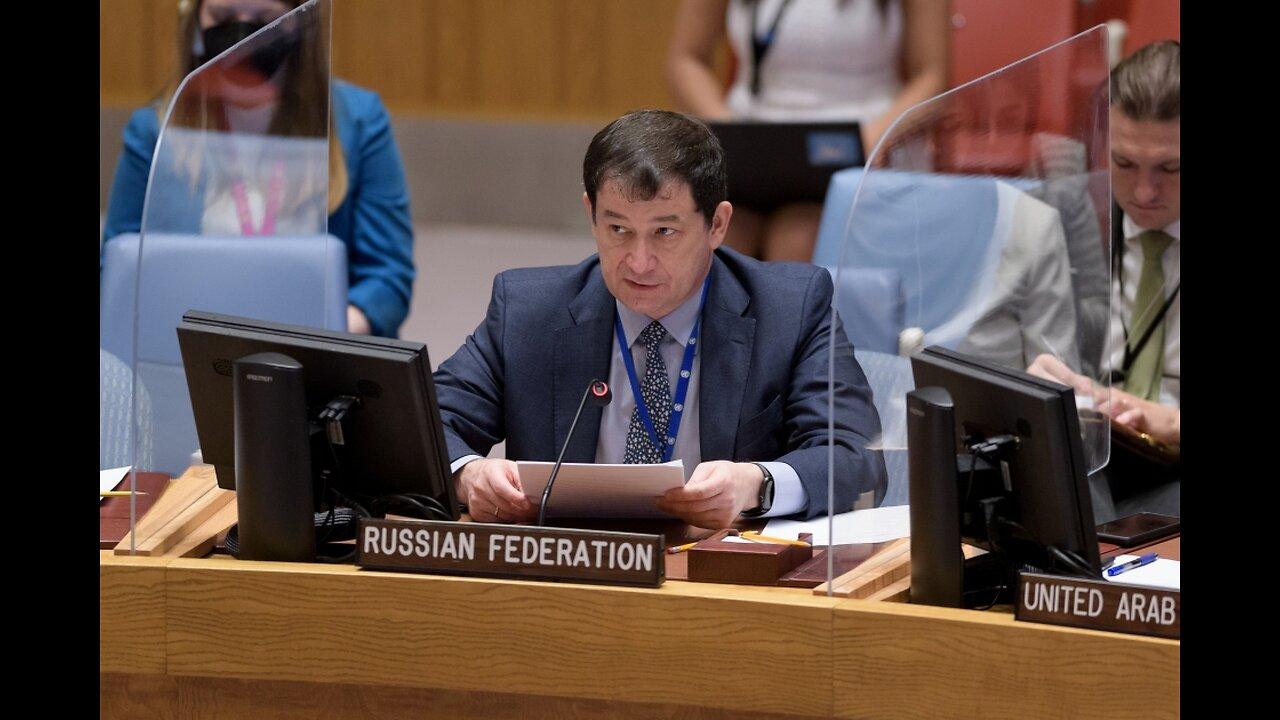 Nazism in Ukraine Today: Russian U.N. Ambassador Dmitry Polyanskiy Interview, Part 1