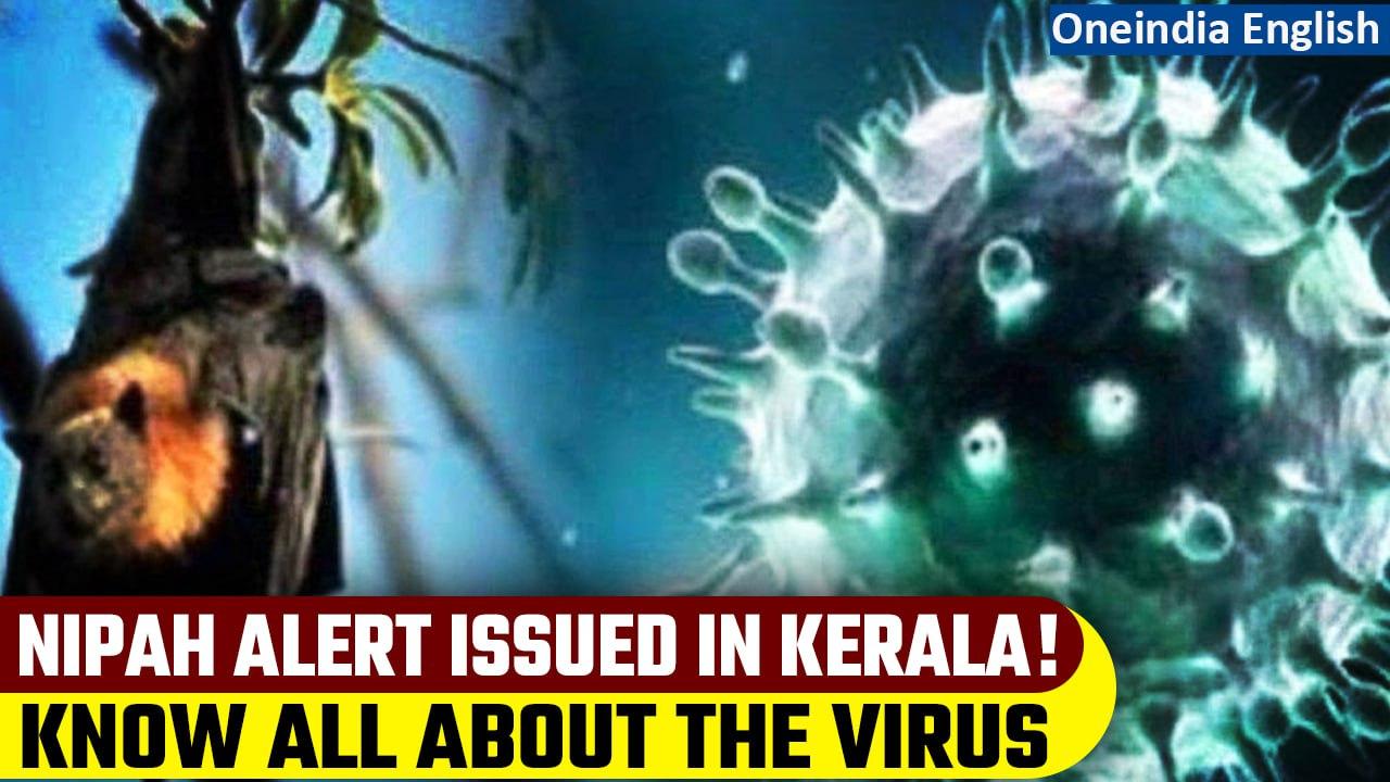 Nipah alert issued in Kerala after 2 'unnatural' deaths reported from Kozhikode | Oneindia News