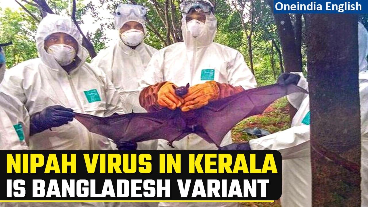 Nipah virus in Kerala is reportedly a Bangladesh variant with ‘high mortality rate’ | Oneindia News