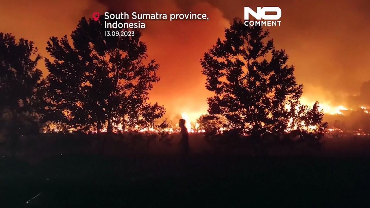 WATCH: Firefighters battle several peatland fires on Indonesia's Sumatra island