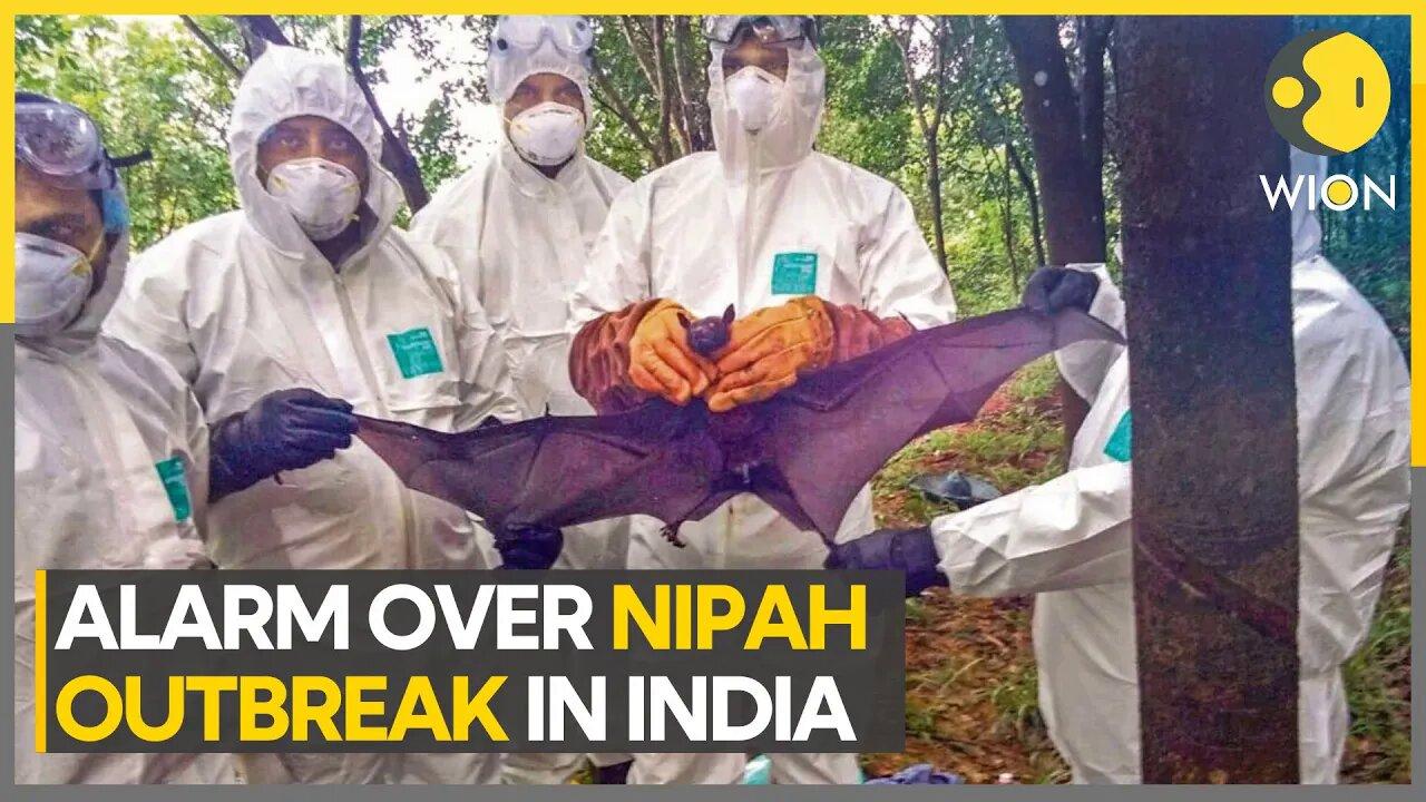 Kerala government strengthens measures to stop the spread of Nipah virus | WION