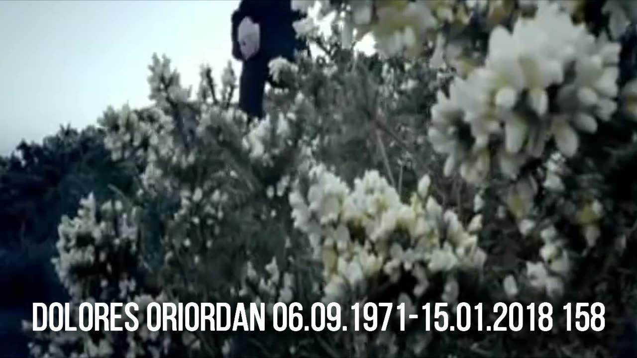 6th September- Dolores O Riordan -  Nina Persson