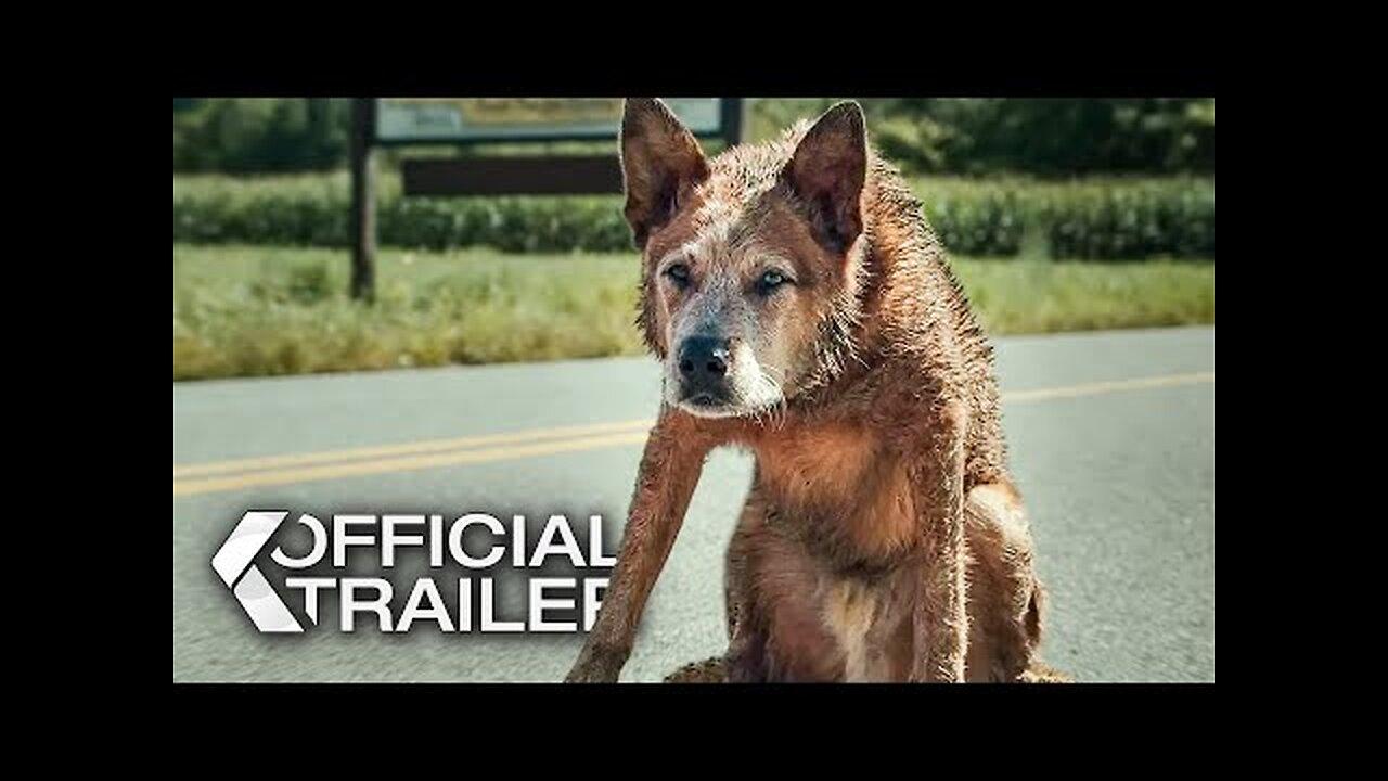 Pet Sematary: Bloodlines Trailer (2023)