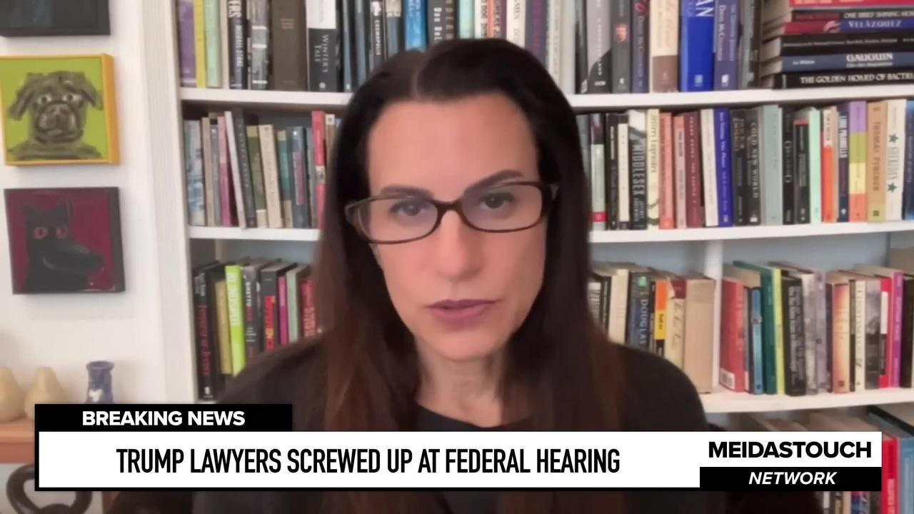 Trump Lawyers SCREWED UP at Federal Hearing