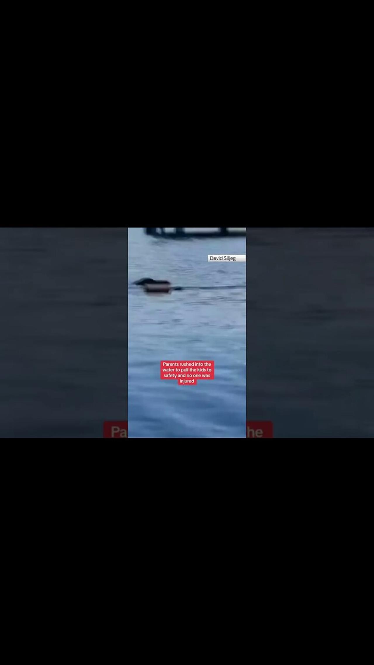 Texas: Massive alligator captured swimming towards group of children