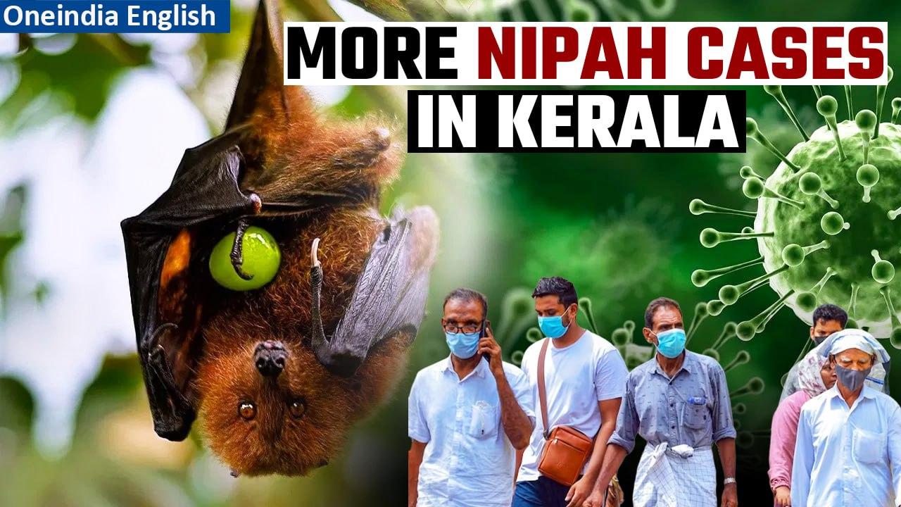 Fifth Nipah Virus Case Confirmed in Kerala; Antibody Arrives to Combat Outbreak| Oneindia News