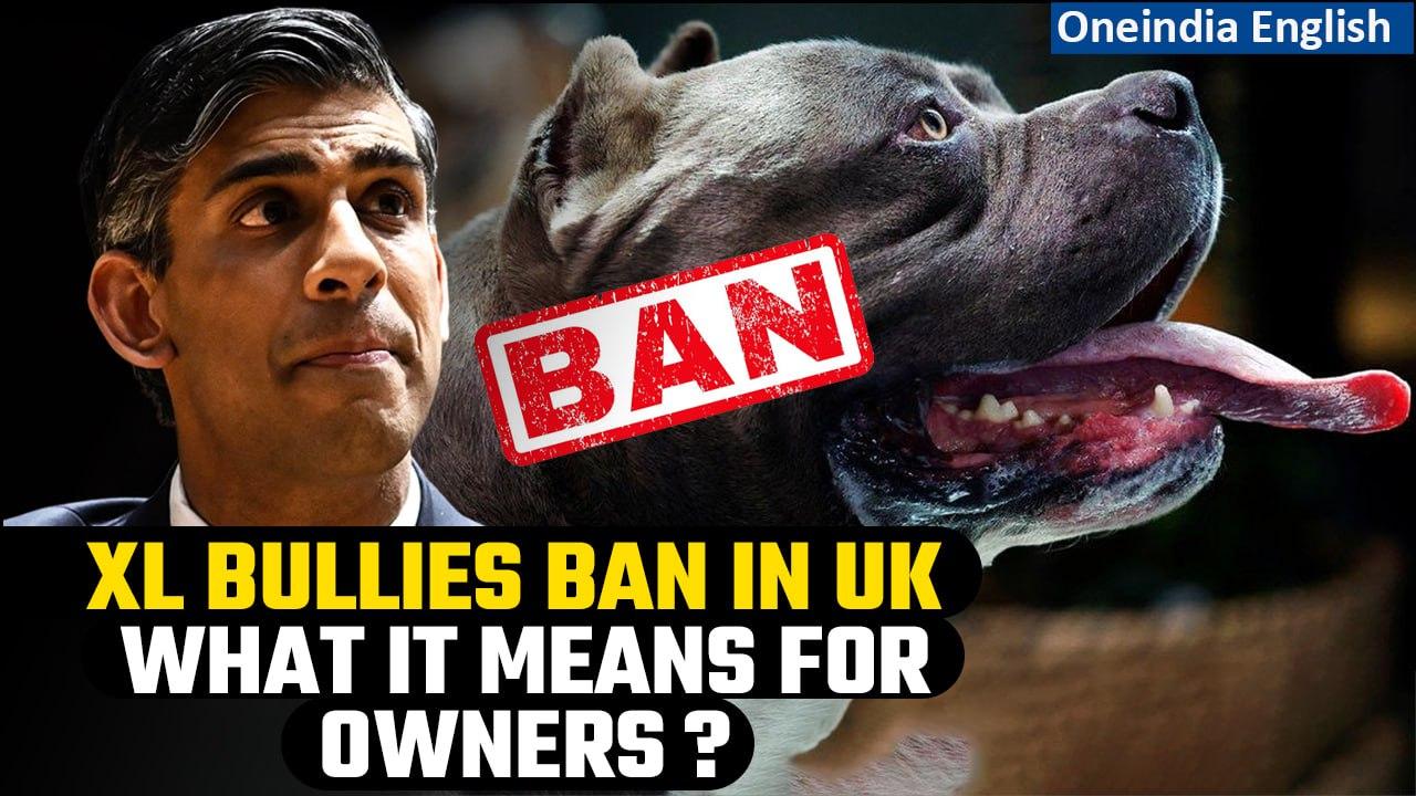 UK: American XL bully dogs to be banned after attacks, Rishi Sunak says | Oneindia News