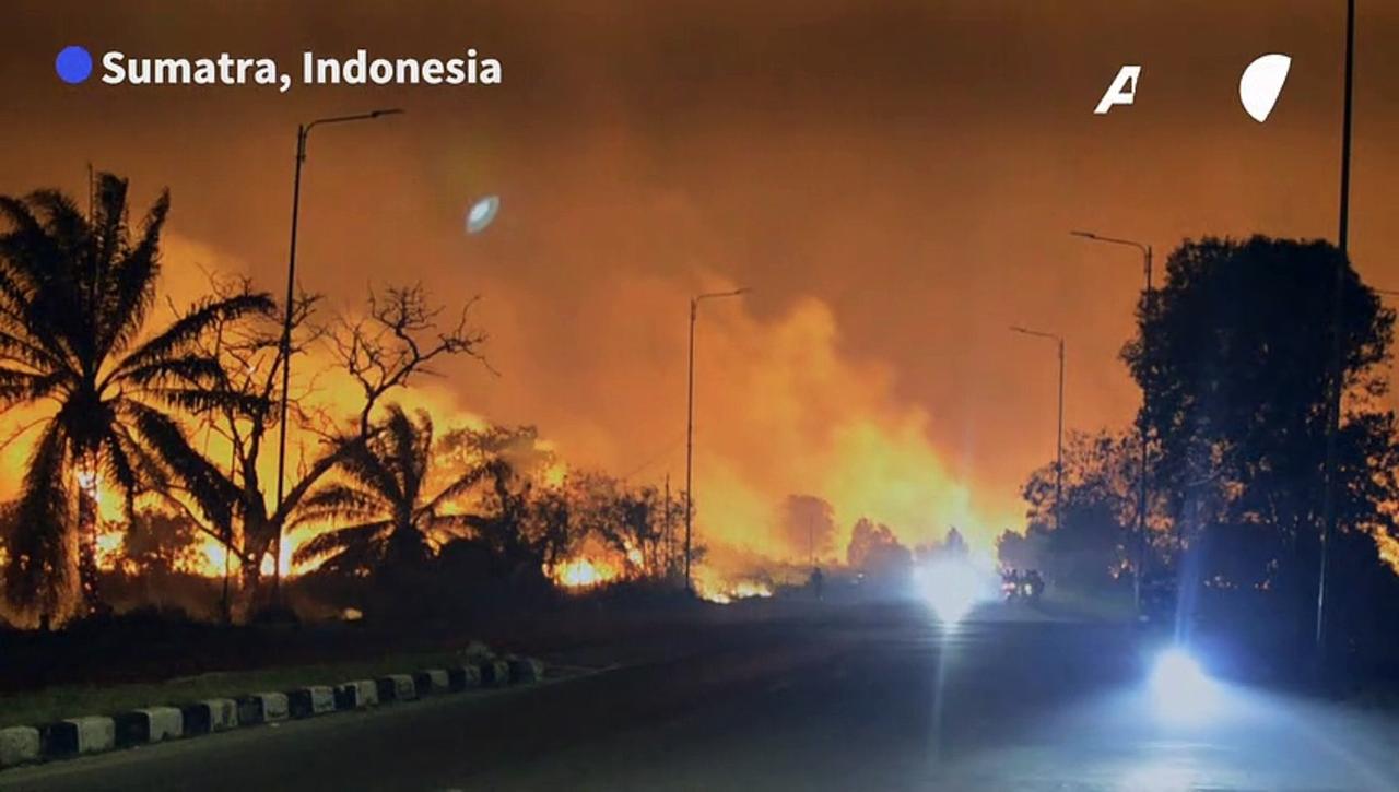 Firefighters battle peatland blazes as haze shrouds Indonesian city
