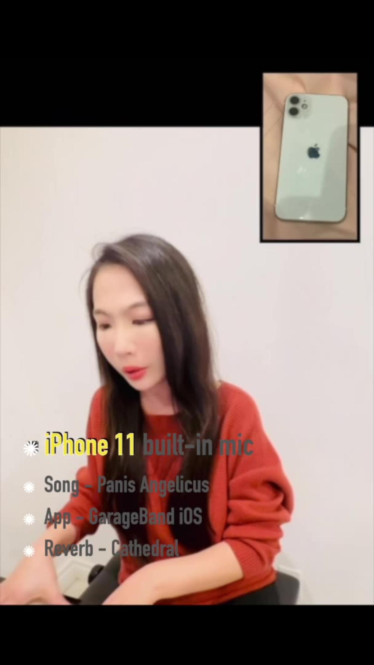 iPhone XR and iPhone 11 built in mic recording