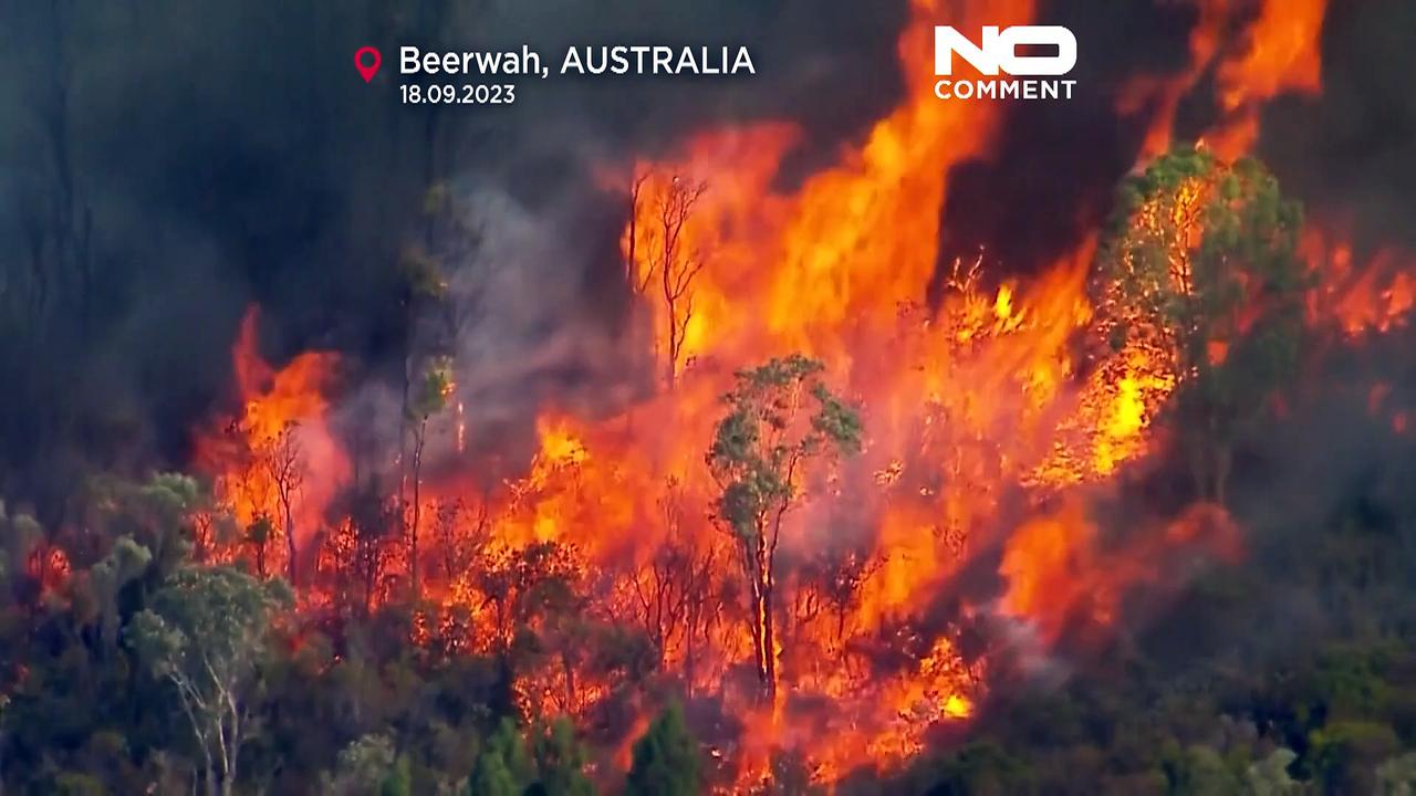 Watch: Bushfire sweeps through Beerwah area of Queensland, Australia