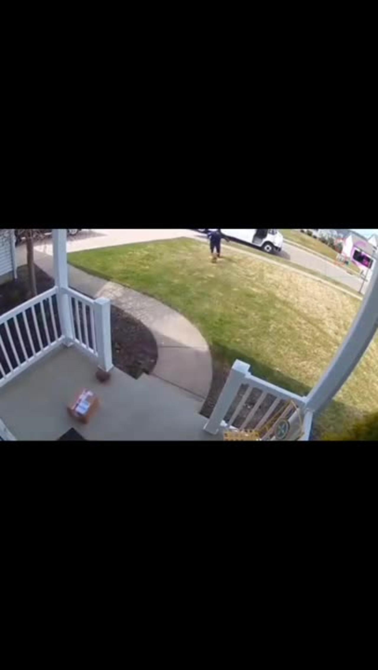 Funny Videos Caught On Camera One News Page Video