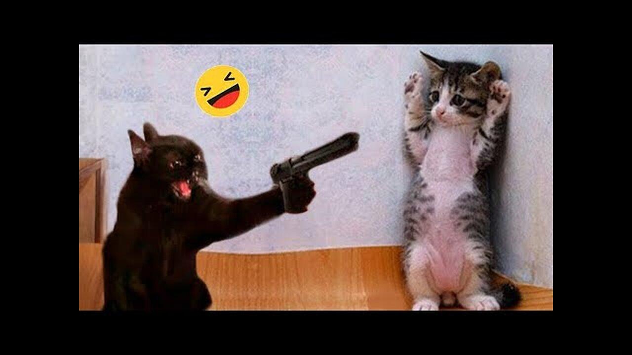 Funniest Cats 😹 - Don't try to hold back Laughter 😂 - Funny Cats Videos