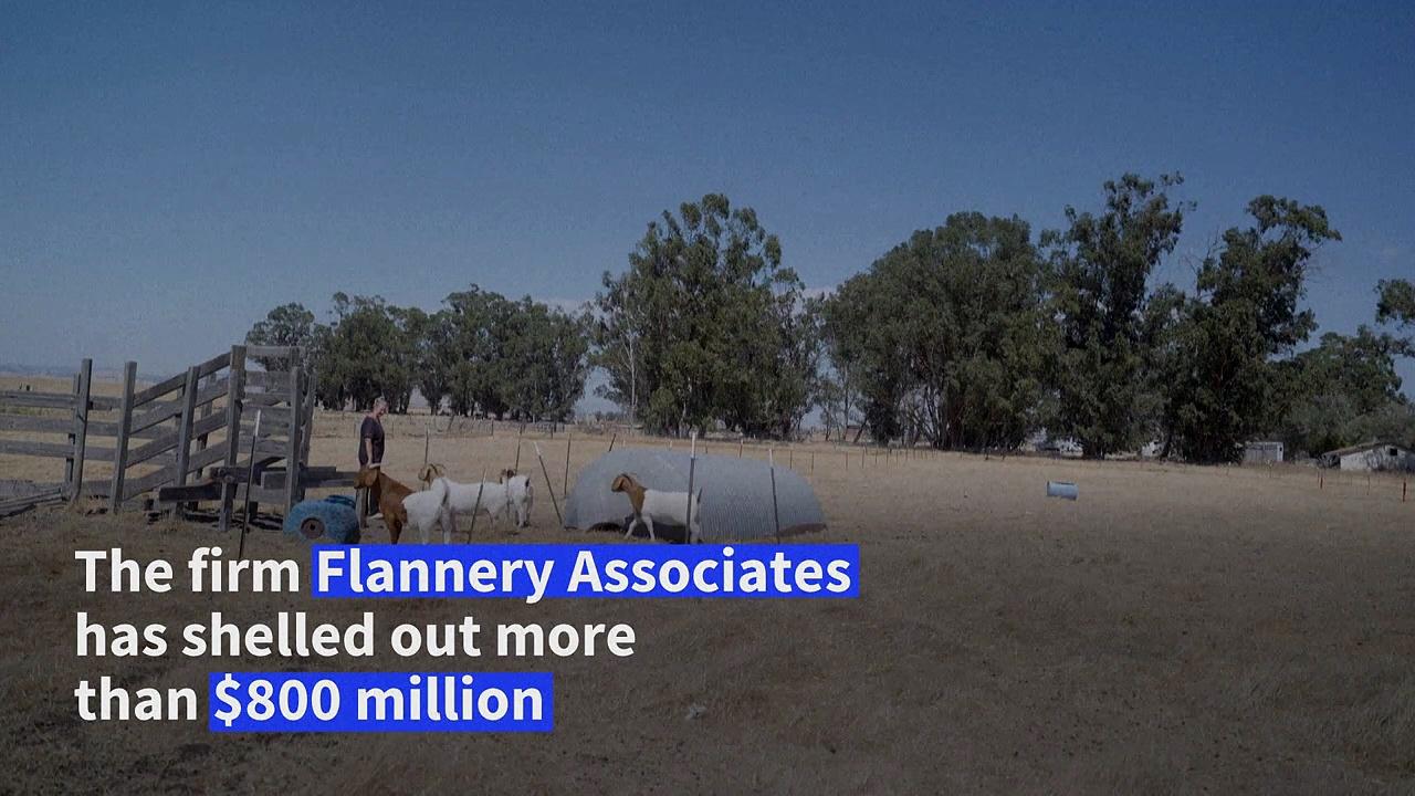 California ranchers battle tech execs' plan for new city