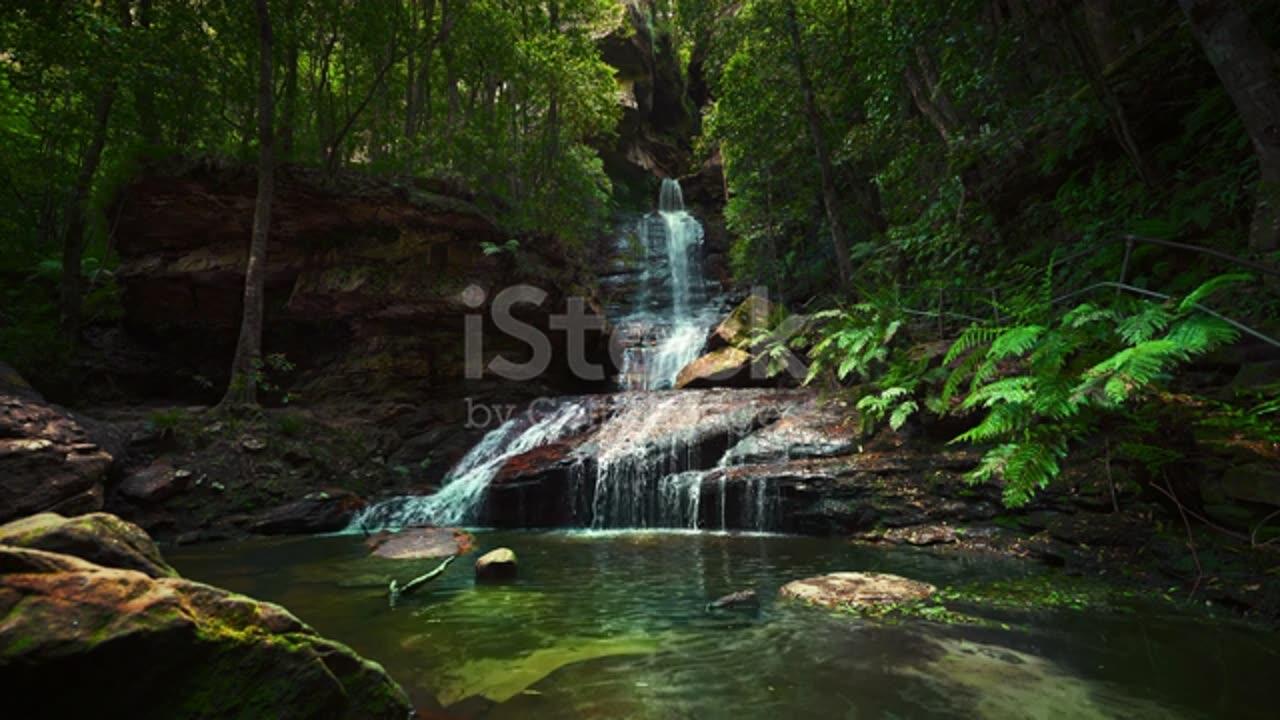 Fresh water in the romantic jungle rain forest