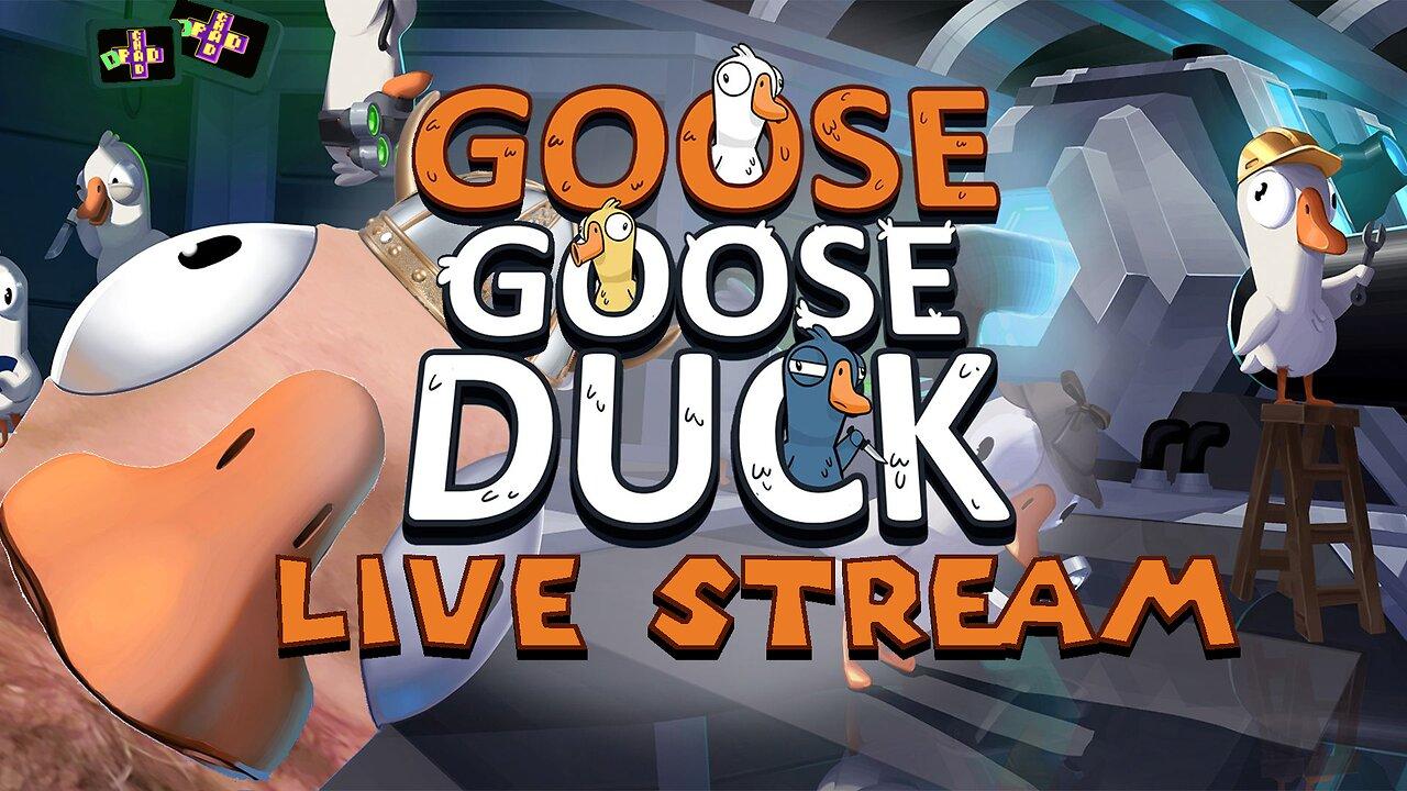 Goose Goose Duck- New map, New Players