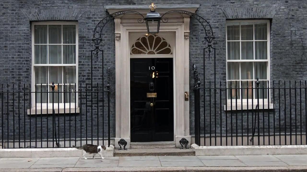Feline fine: Larry the Cat is well, says Downing Street