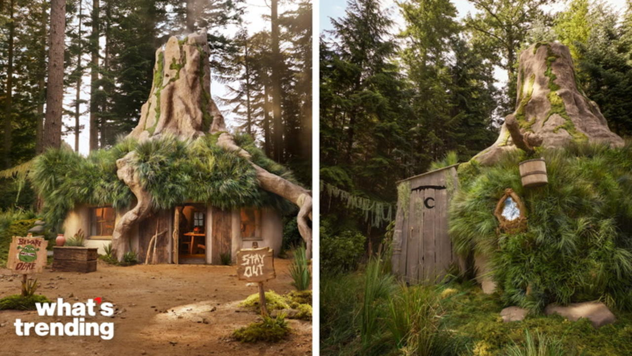 Shrek Themed Airbnb Is Offering a Free Stay to Ogre Enthusiasts