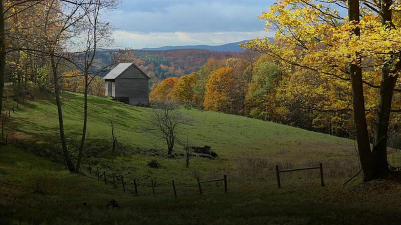 Vermont Town Bans Influencer Tourists From Visiting for Autumn Foliage