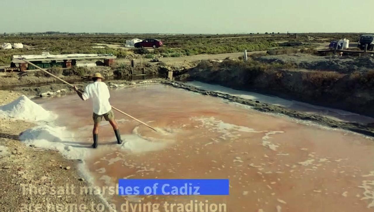 Spain's thousand-year old Cadiz Bay salt marshes seek to regain 'former glory'