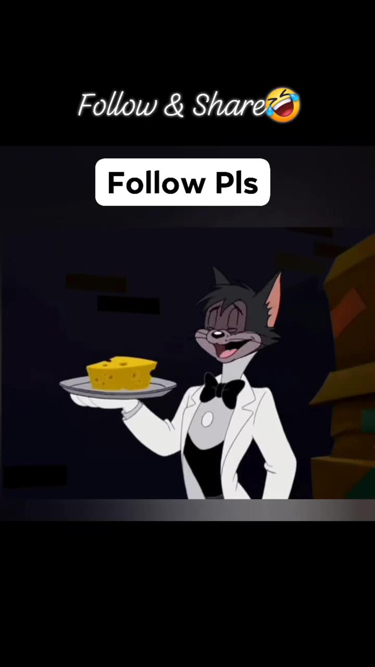 Cats Vs Mice | Funny Cartoon Videos | Tom and Jerry