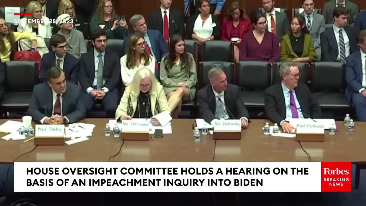 'Just Answer The Question!'- Dan Goldman Grills Jonathan Turley At Impeachment Hearing