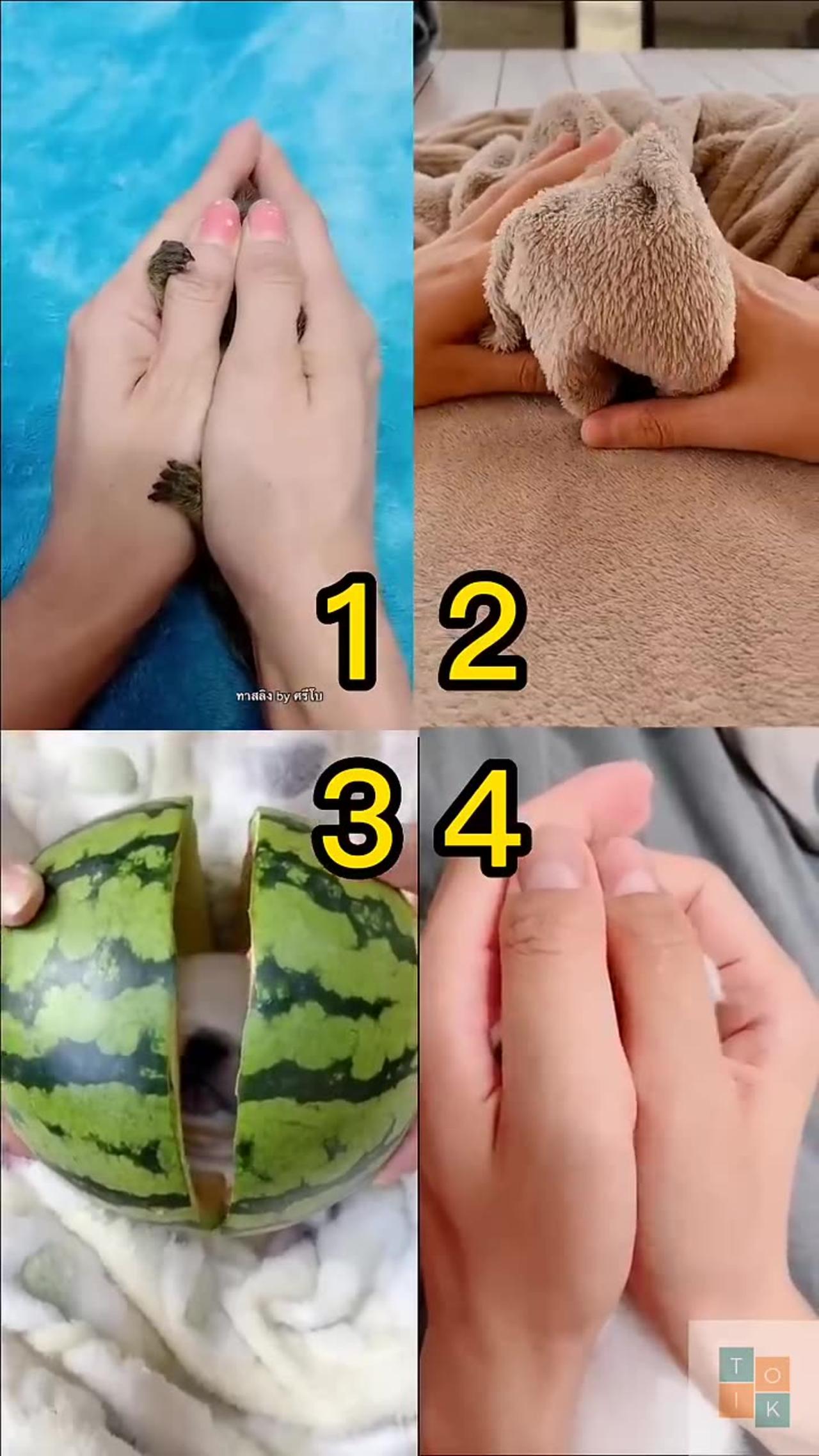 Pick Your Best 😍 Tiktok Compilation 💘 Pinned your comment 📌#226 #shorts #dance #ytviral #ytshorts