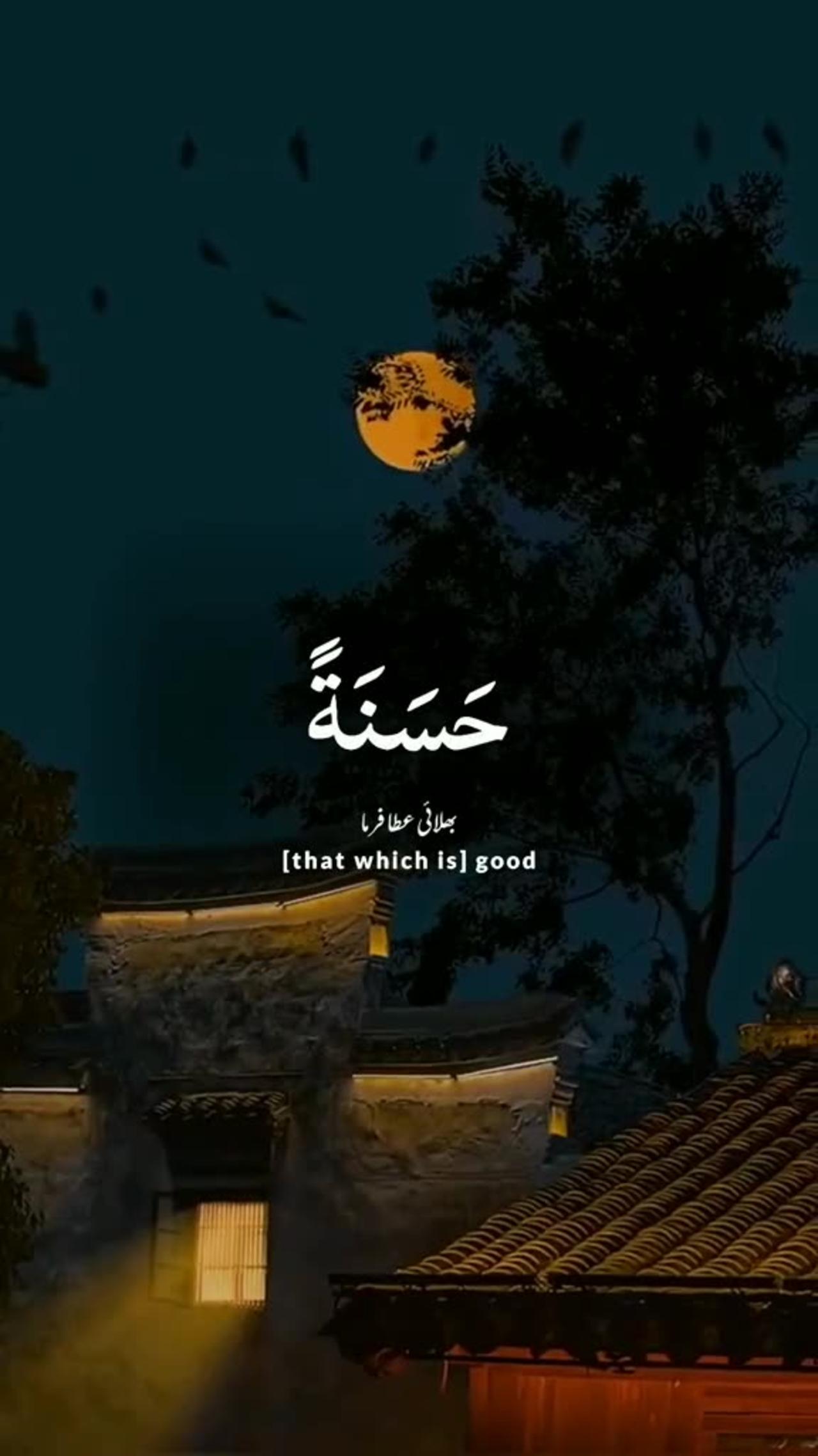 Islamic Short Video