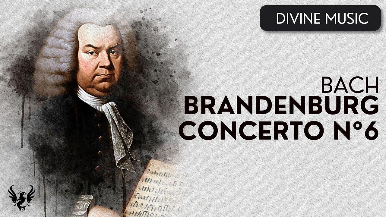 💥 BACH ❯ Brandenburg Concerto No. 6 BWV 1051 🎶