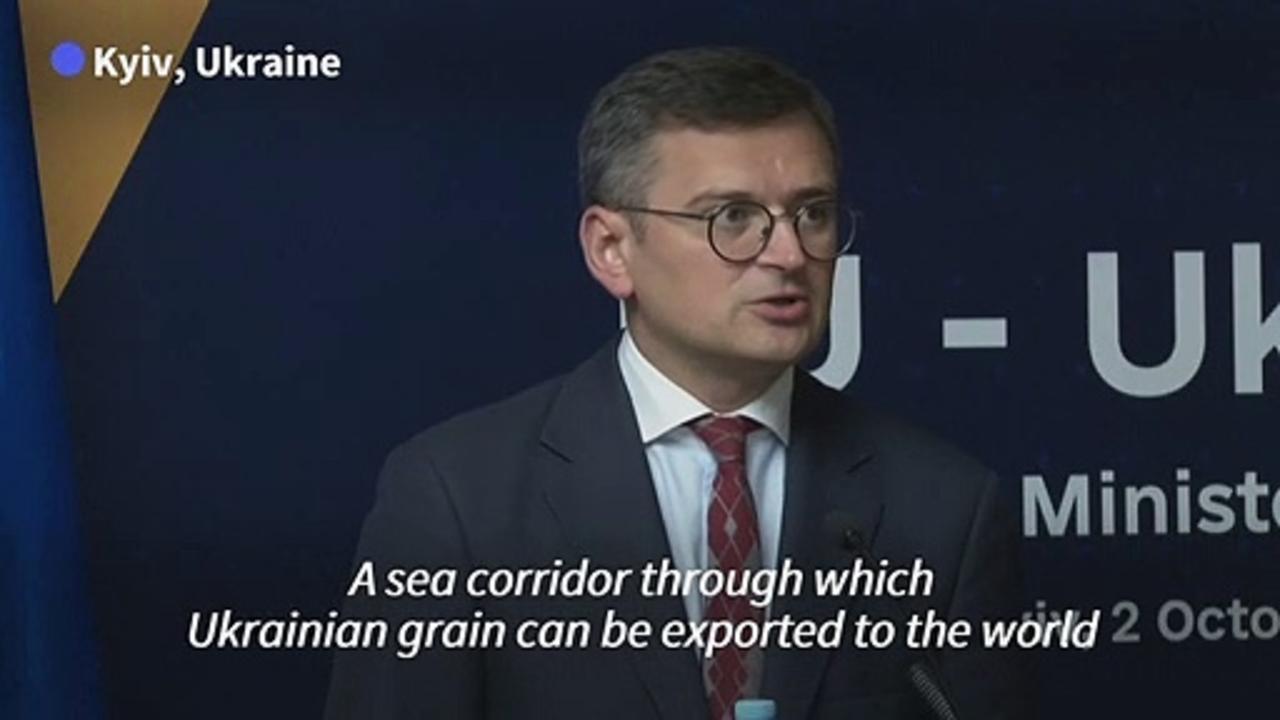 Kyiv urges EU support for grain corridor to work 'at full capacity'