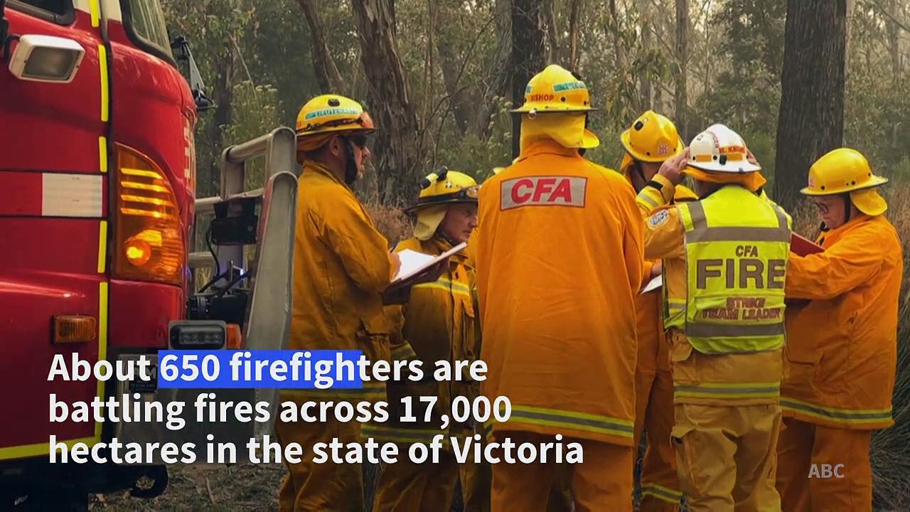 Bushfires cause devastation and force evacuations in east Australia