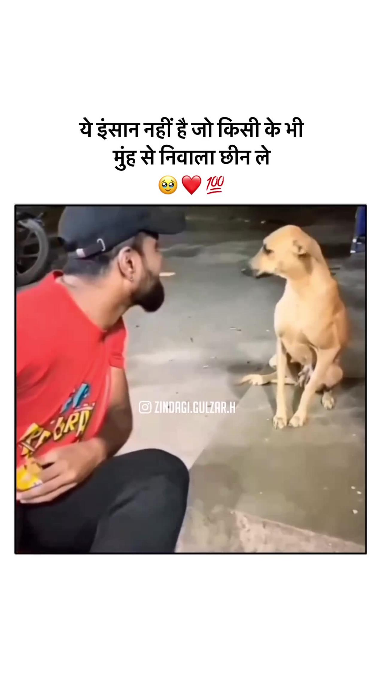 Inse jyada toh koi ni hoga wafadar