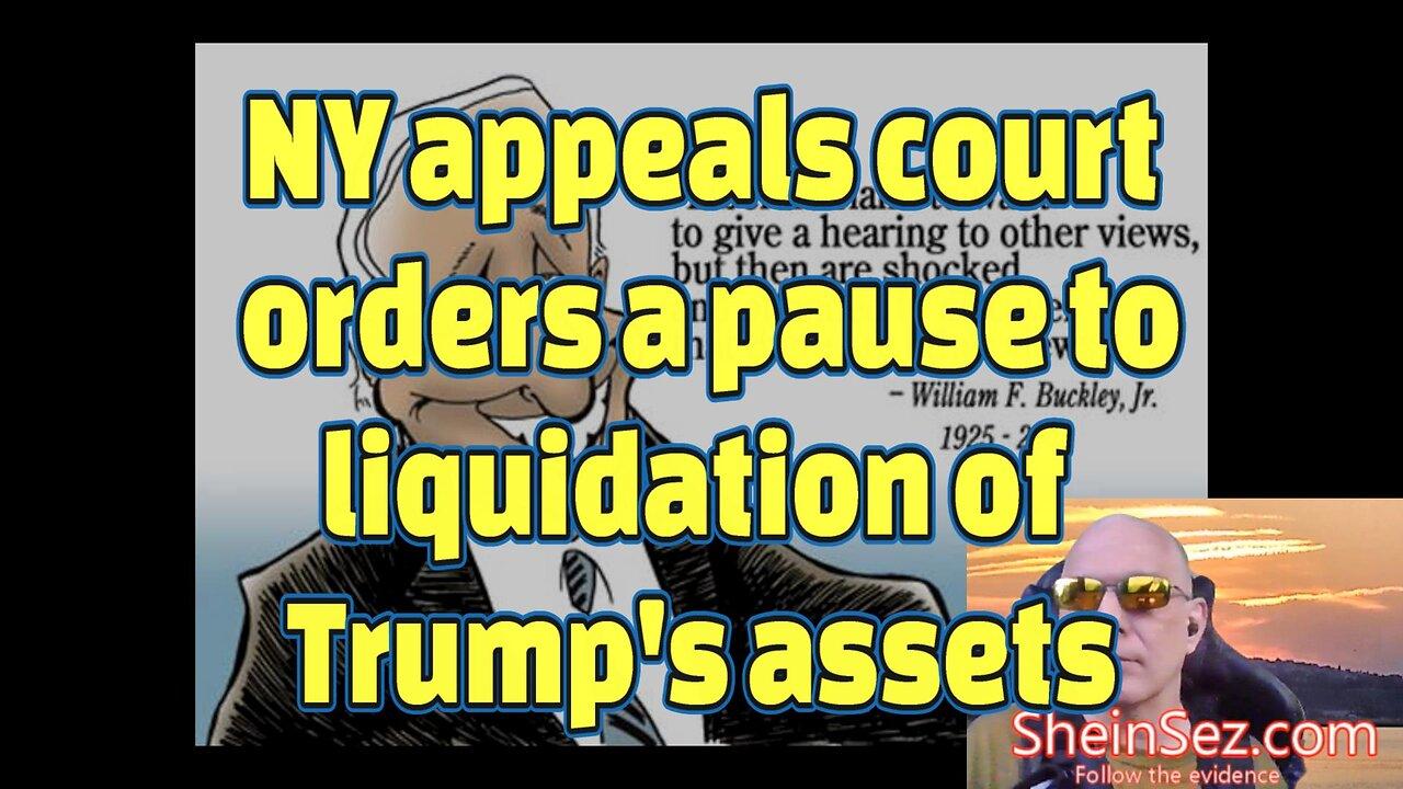 NY Appeals court orders a pause to the liquidation of Trump's assets-SheinSez 314