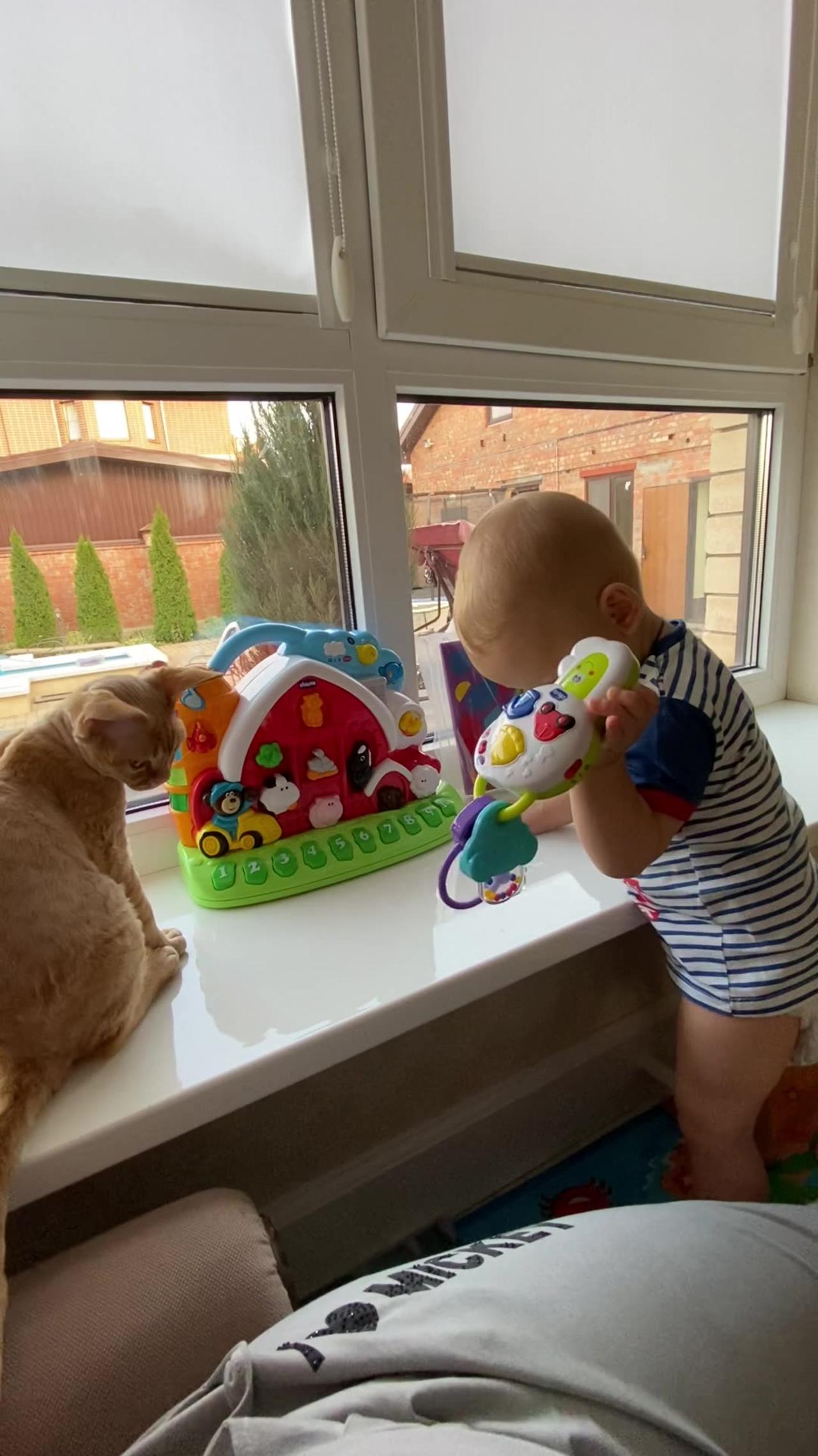 Cute Baby with cat