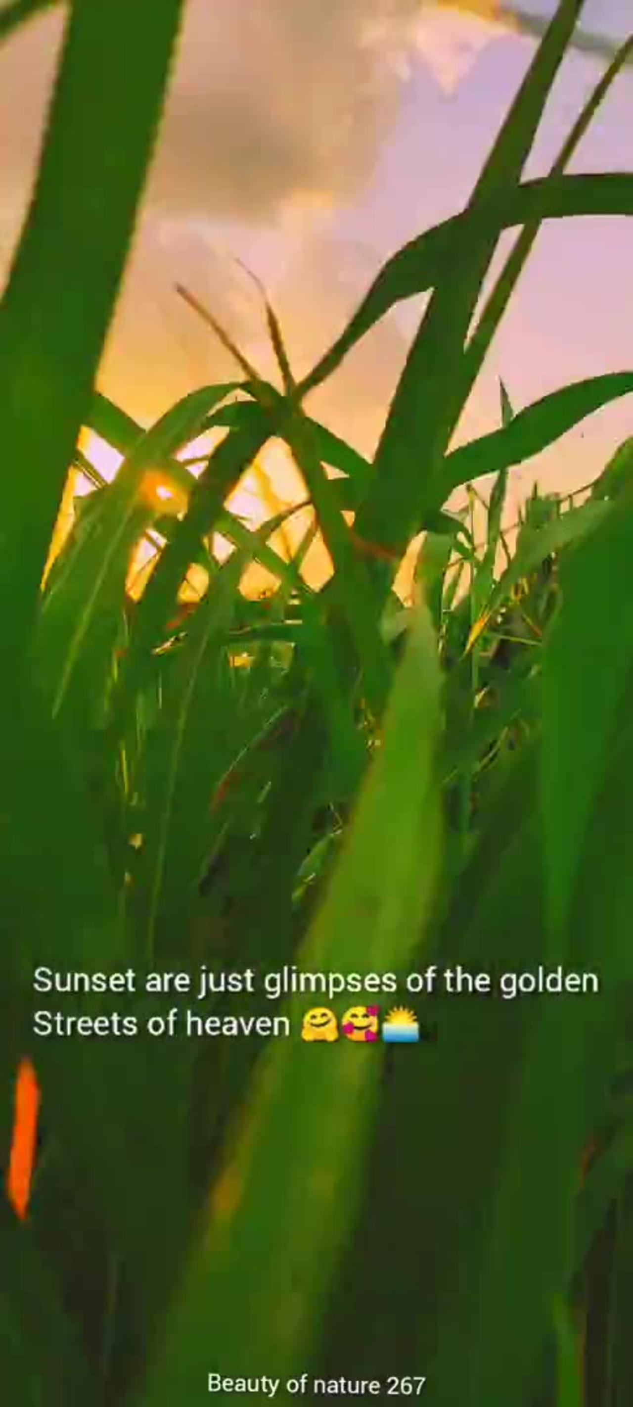 Nature beautiful videos