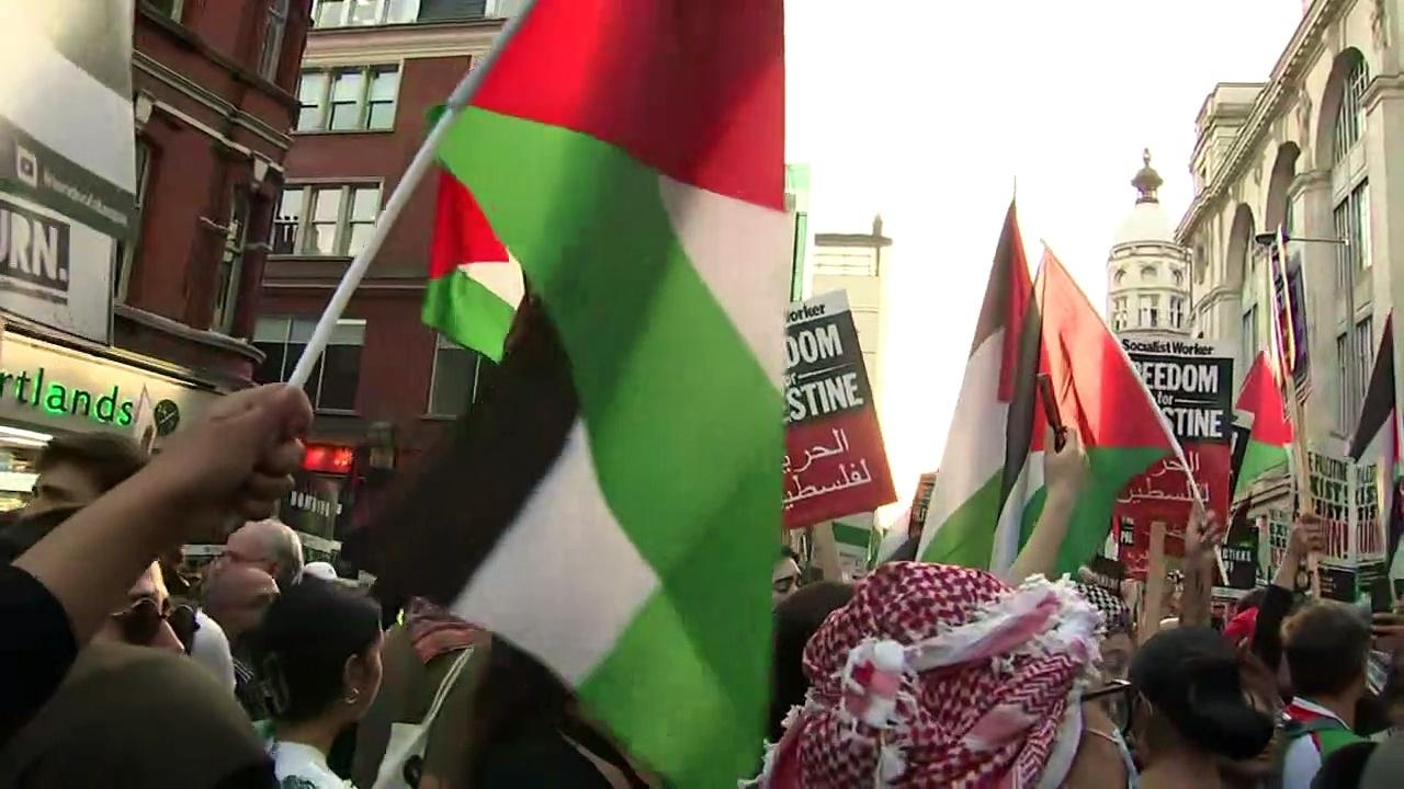 Protestors chant 'free Palestine' at rally in London