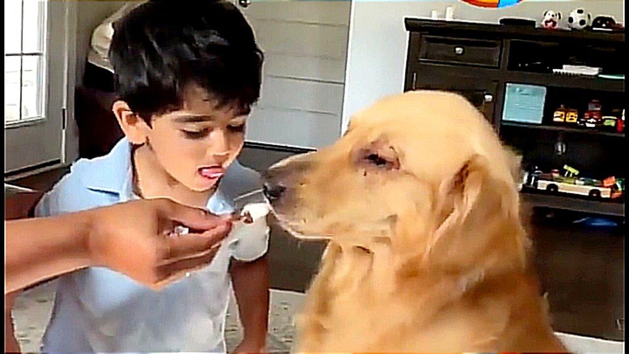 Funny cute kids & animals 😍