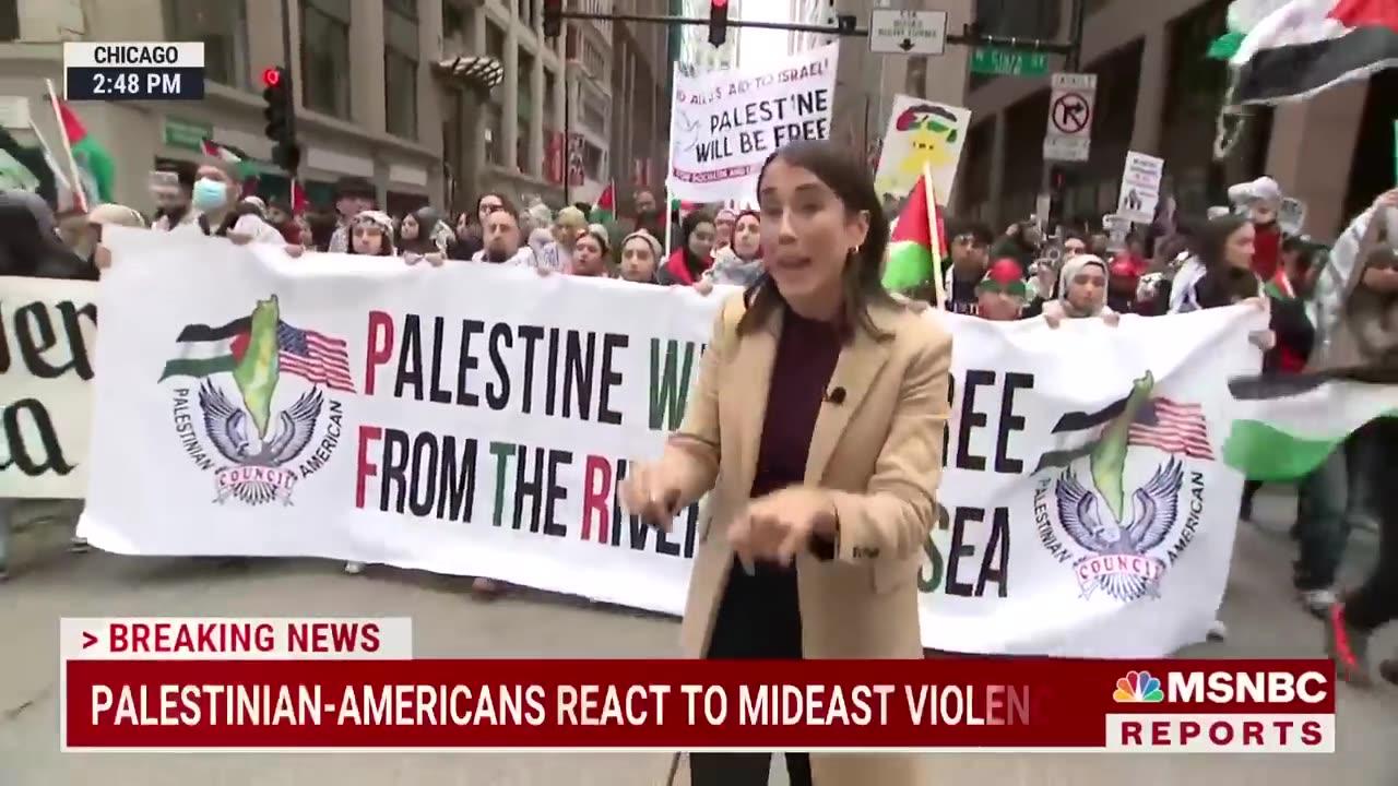 Palestinian-Americans hold rally in Chicago - One News Page VIDEO