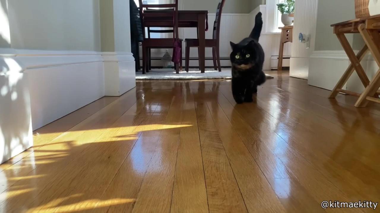 Man Pranks People With Realistic Face Mask One News Page VIDEO