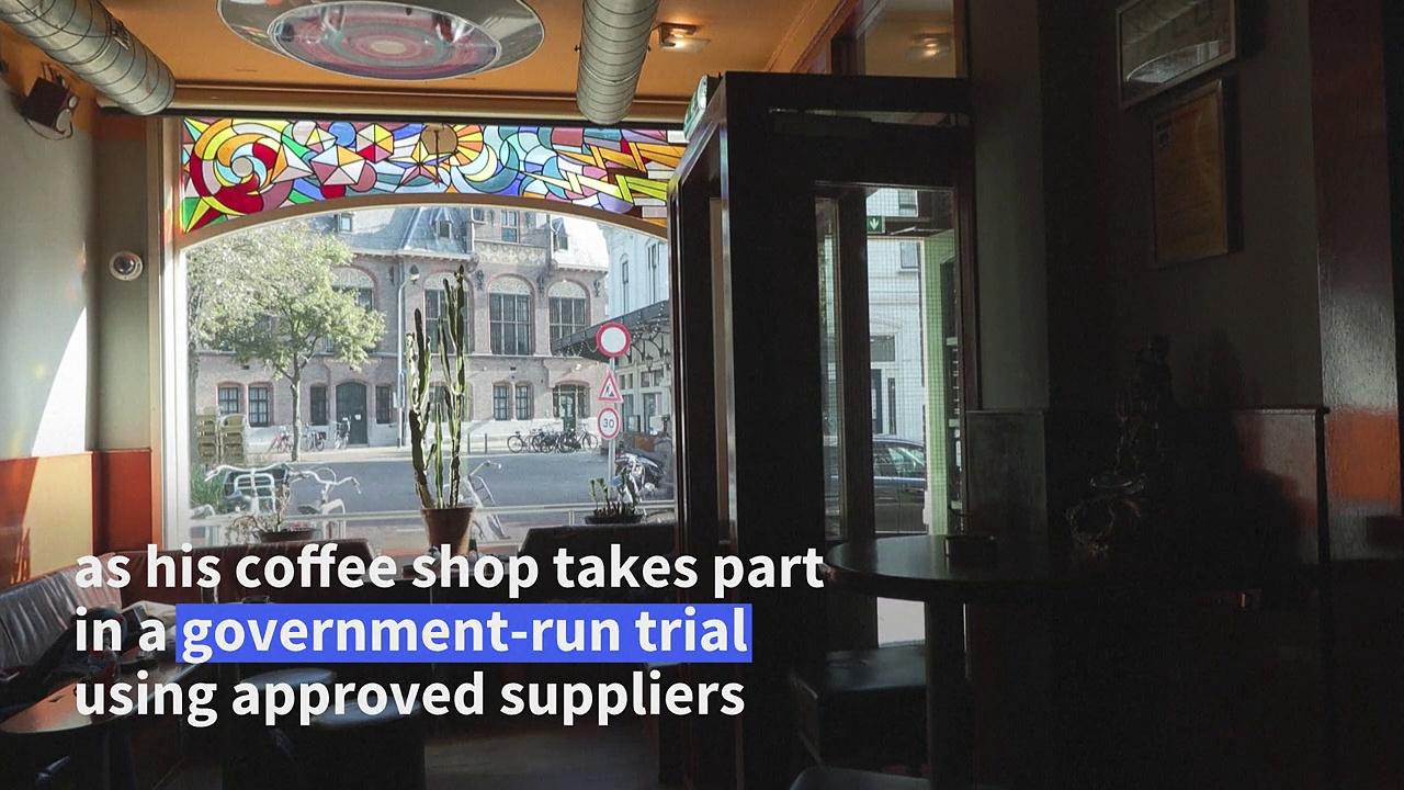 Dutch 'coffee shops' savour legal pot trial