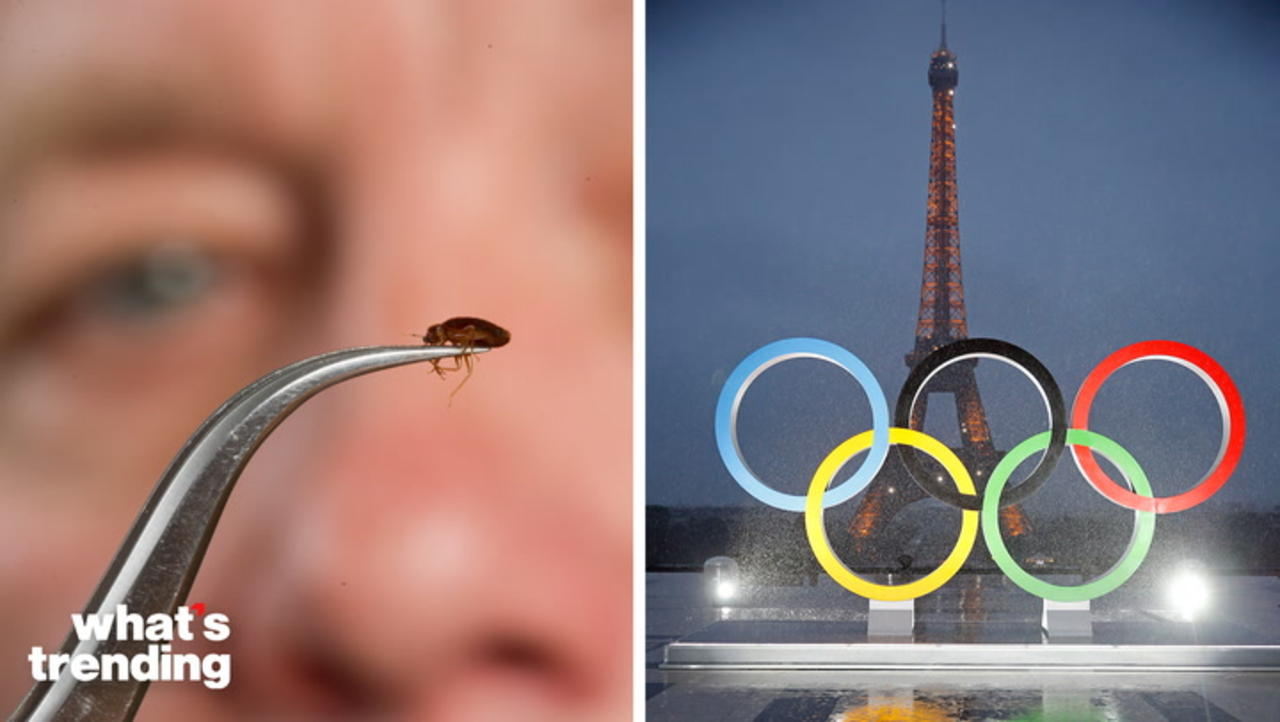 Paris Bedbug Infestation Raises Concern For 2024 Olympics