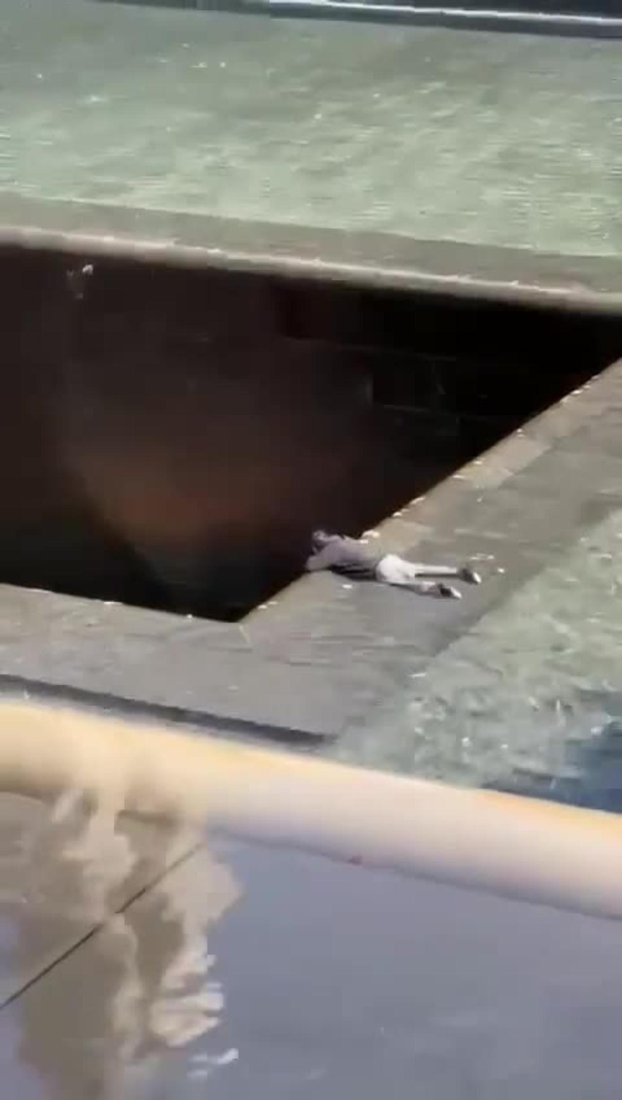 Man slips / drops head first into the 9/11 Memorial in New York City 👀